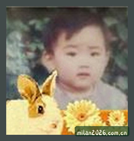 李娜